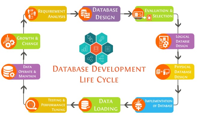 Database Design & Development